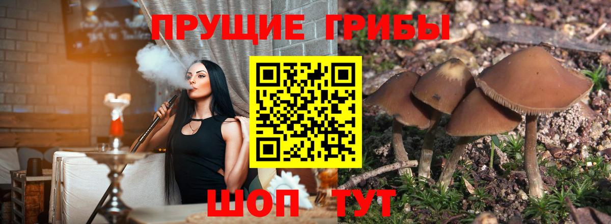 Галлюциногенные грибы Magic Shrooms Лениногорск