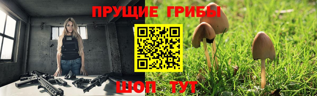 Псилоцибиновые грибы Psilocybe  Вход с VPN  Псилоцибиновые грибы прущие грибы  Лениногорск 